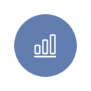Auditing and Capital Verification